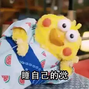 可爱的鹦鹉兄弟表情包