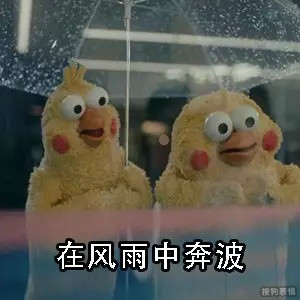 可爱的鹦鹉兄弟表情包