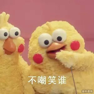 可爱的鹦鹉兄弟表情包