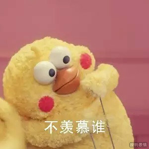 可爱的鹦鹉兄弟表情包