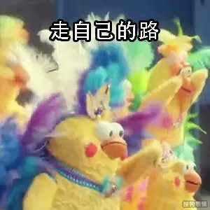 可爱的鹦鹉兄弟表情包