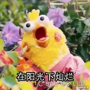 可爱的鹦鹉兄弟表情包