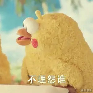 可爱的鹦鹉兄弟表情包