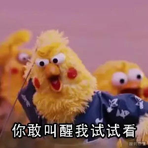 可爱的鹦鹉兄弟表情包