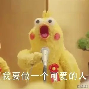 可爱的鹦鹉兄弟表情包
