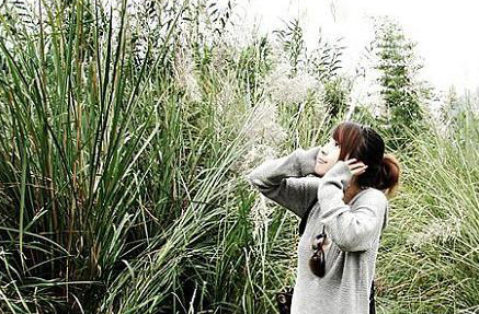 情感日志专用的彩色插图图片_陌上红尘,遇上谁,爱上谁