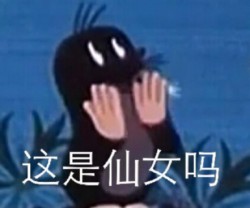 鼹鼠的故事表情包