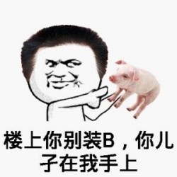 没图聊个毛表情包第八期