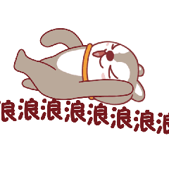 呆萌哈哈搞笑表情包