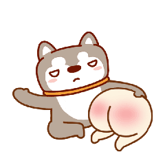 呆萌哈哈搞笑表情包