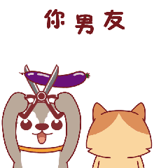 呆萌哈哈搞笑表情包