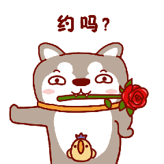 呆萌哈哈搞笑表情包