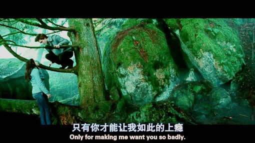 影视镜头里的那些有爱的文字图片 没有你,良辰美景与何人说