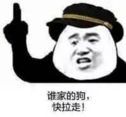 没图聊个毛第九期表情包