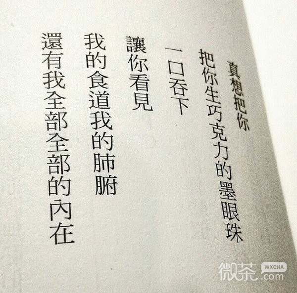 2017最新书摘带字唯美图片大全 爱是假的珍惜才是真的