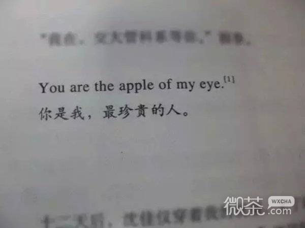 2017最新书摘带字唯美图片大全 爱是假的珍惜才是真的