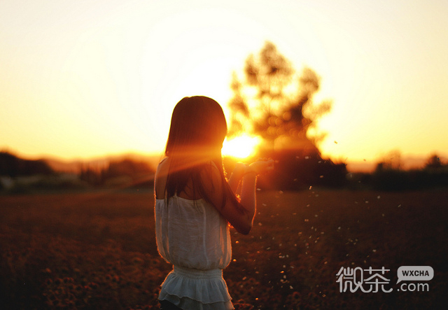 暖色系夕阳美景lomo唯美图片 爱本是赌，只是身不由己