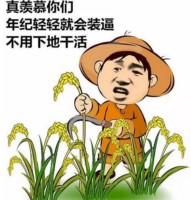 斗图老司机第四期表情包