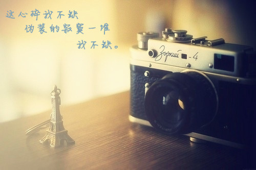 清爽个性带字大图很美的 才刚回温的爱情又遭遇冷流，被冰寒住了