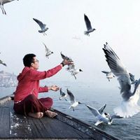 情侣头像一男一女高清图2017 把清晨的第一眼给你