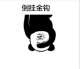 熊猫练功夫动静态集合表情包