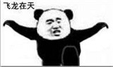 熊猫练功夫动静态集合表情包