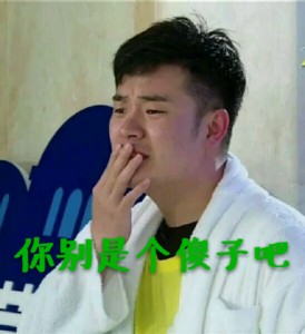 陈赫表情包