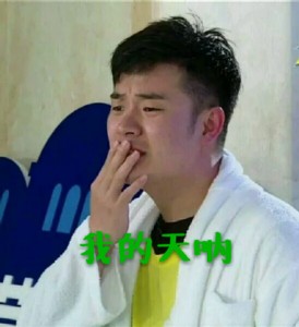 陈赫表情包