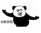 熊猫练功夫动静态集合表情包