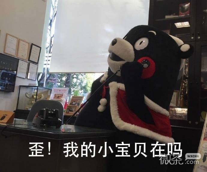 熊本熊打电话微信表情包