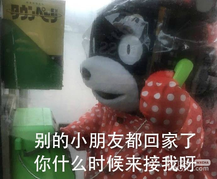 熊本熊打电话微信表情包