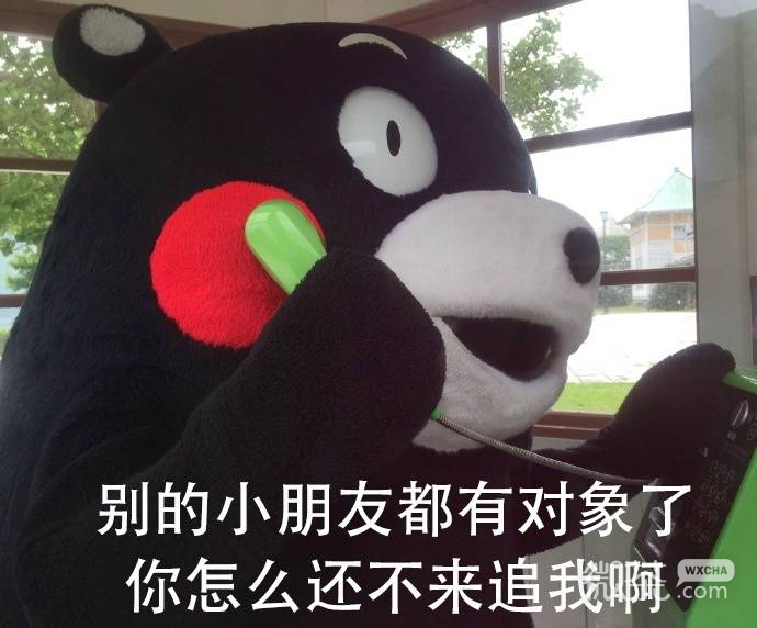 熊本熊打电话微信表情包