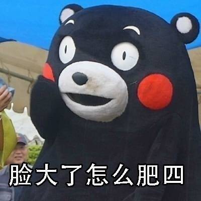 肥四熊本熊微信表情包