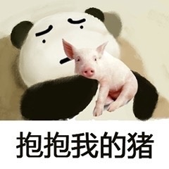我怕来不及我要抱着你表情包
