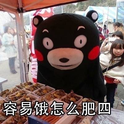 肥四熊本熊微信表情包