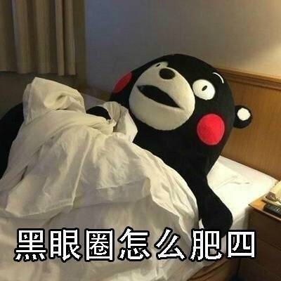 肥四熊本熊微信表情包