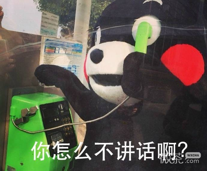熊本熊打电话微信表情包