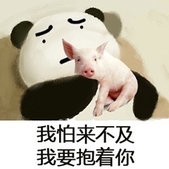 我怕来不及我要抱着你表情包