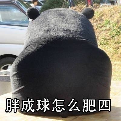 肥四熊本熊微信表情包