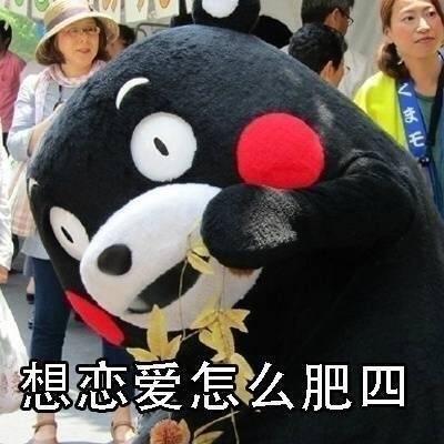 肥四熊本熊微信表情包