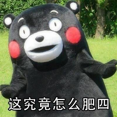 肥四熊本熊微信表情包