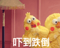 鹦鹉兄弟动图表情包