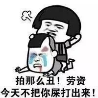 不会拍照表情包