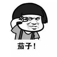 不会拍照表情包