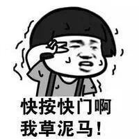 不会拍照表情包