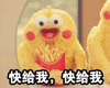 鹦鹉兄弟动图表情包