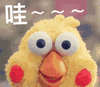 鹦鹉兄弟动图表情包