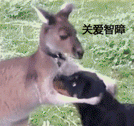 搞笑动图第十六弹表情包