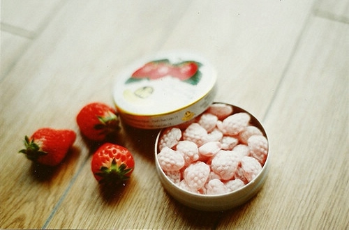 唯美意境静物图片森系 永远都在雨过天晴后