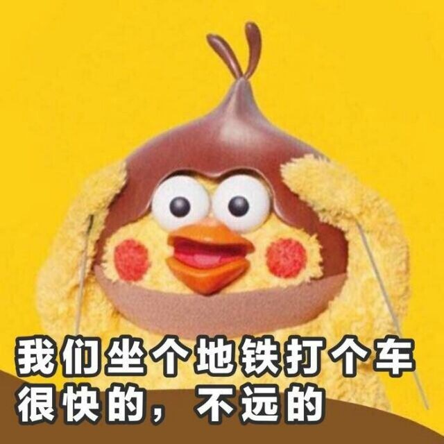 约我呀小黄鸡微信表情包